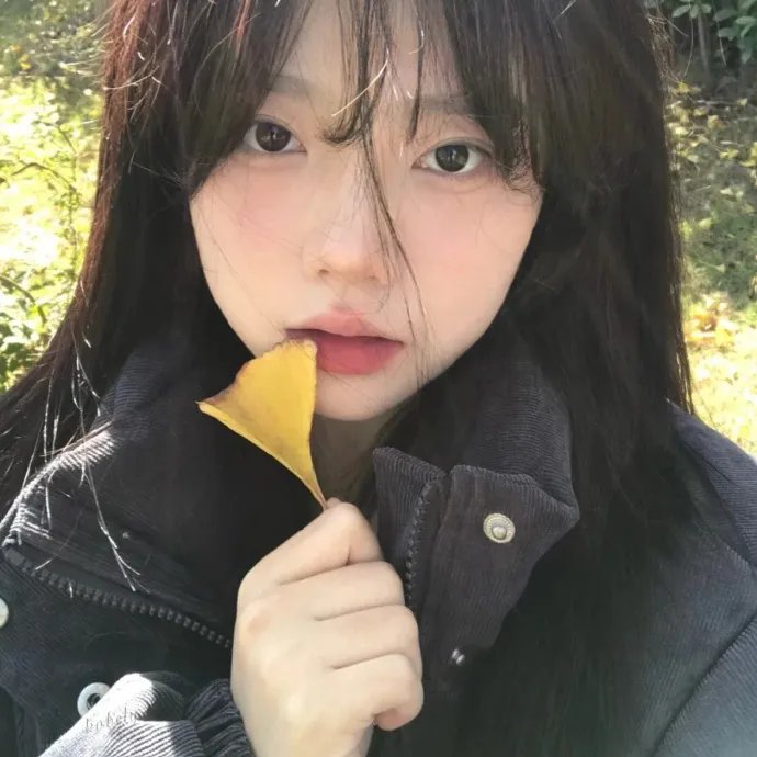 少年天子